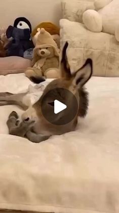 a deer laying on top of a bed next to stuffed animals