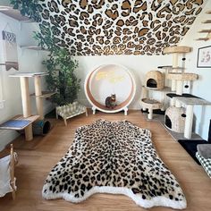 an animal print rug in the middle of a living room with cat furniture and decor