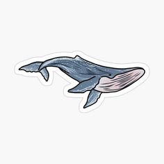 a blue whale sticker on a white background