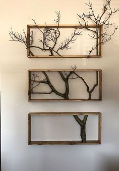 three frames are hanging on the wall with trees in them