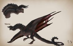 two different types of dragon like creatures