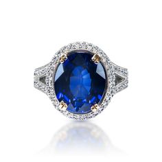 Jocelyn 10 Carat Oval Cut Blue Sapphire Ring in 18k White Gold Front View Halo 4, Blue Sapphire Ring, Blue Sapphire Rings, I Love Jewelry, Love Jewelry, Shiny Things, Oval Cut, Round Brilliant, Sapphire Ring