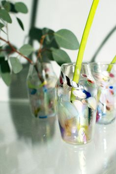 three glass vases with plants in them on a table