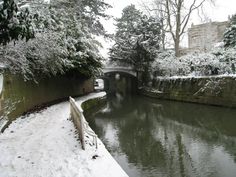 snow covers the ground next to a river and stone bridge over which is surrounded by trees