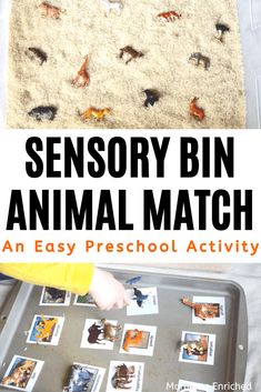 an easy activity for toddlers to learn how to use animal pictures