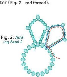 a diagram showing the structure of an animal's protein