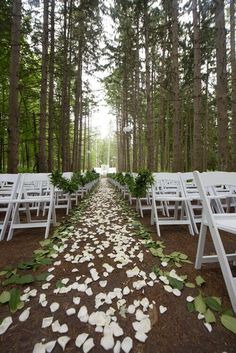 the aisle is lined with white folding chairs and petals on the ground in front of trees