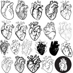 black and white illustrations of heart shapes on a white background, set of twelve hearts