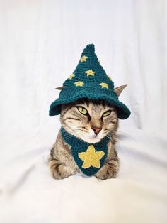 a cat wearing a green knitted hat with gold stars on it's side