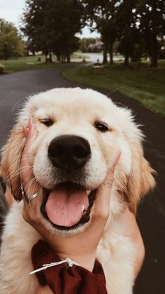 a woman holding a dog in her arms and smiling at the camera while she holds it up to her face