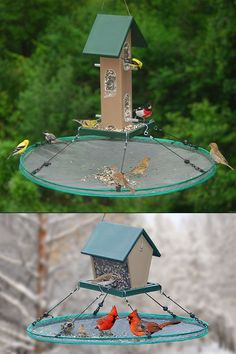 two pictures of birds eating out of a bird feeder, and one with a house on top