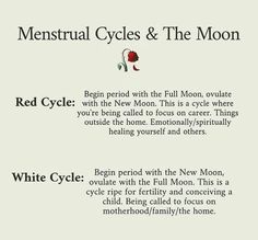 Red Moon Cycle, Period Health, Happy Full Moon, Period Cycle, Mother Earth Art, Healthy Period, Herbal Education, Cycle Syncing, Balance Hormones Naturally