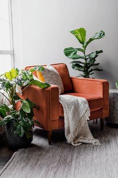 a living room with two plants and a couch in the corner, next to a window