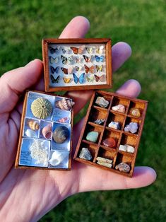 two small wooden boxes filled with different types of seashells