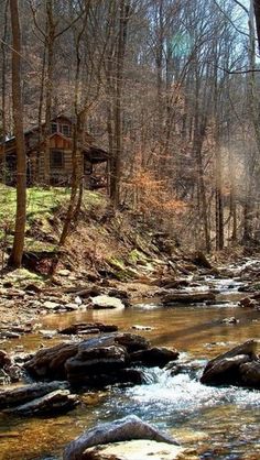 a stream running through a forest filled with lots of trees and rocks in front of a cabin