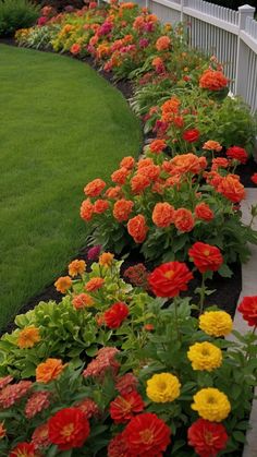 colorful flowers line the side of a white fence