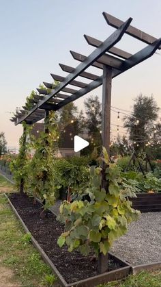 an outdoor garden with lots of plants growing in the ground and attached to a pergolated