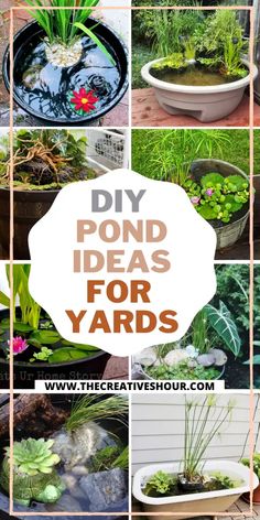 the words diy pond ideas for yards are shown above pictures of plants and water