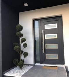 a modern front door with decorative plants and gravel on the ground in front of it