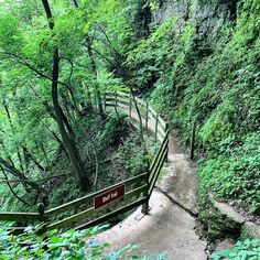 the stairs lead up to the top of the hill in the forest with trees on both sides