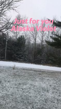 a snow covered field with trees in the background and a pink sign that says just for you alaska