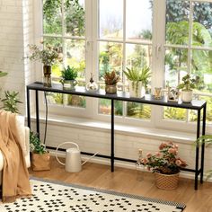 a living room with potted plants on the windowsill and a rug in front of it