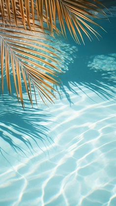 a palm tree sitting in the middle of a swimming pool with blue water and sun reflecting on it