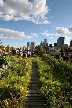 a wooden walkway leads up to the top of a grassy hill in front of a cityscape