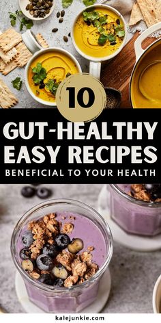 the top 10 gutt - healthy easy recipes to use in your health diets