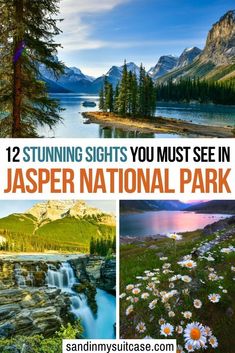 the national park with text overlay that reads 12 stunning sights you must see in jasper national park