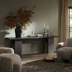 a living room scene with focus on the sofa and chair, coffee table and potted plant