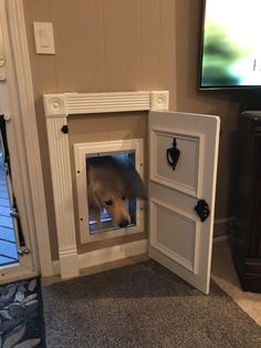 a dog is poking its head through the door to get into his kennel,