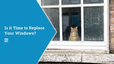 a cat sitting in the window looking out at the street and building with text that reads, is it time to replace your windows?