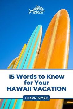 surfboards with the words 15 words to know for your hawaiian vacation learn more