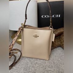 Nwt Coach Bucket Bag 22 Double Face Leather.In Ivory Being Color. Snake -Embossed Leather Strap And Handle. Detachable Handle With 6.75”. Detachable Straps With 22” Drop Shoulder Or Crossbody Wear.Snap Closure. Center Zip Compartment. 8.0”(L) 8.5”(H) 4.0”(W)Style No. Cb901 Luxury Cream Bucket Bag In Pouch Shape, Luxury Cream Pouch Bucket Bag, Luxury Cream Crossbody Bucket Bag, Luxury Cream Bucket Bag With Detachable Handle, Luxury Cream Bucket Bag With Removable Pouch, Luxury Cream Bucket Bag With Gold-tone Hardware, Designer Cream Bucket Bag With Detachable Handle, Designer Cream Bucket Bag For Daily Use, Designer Beige Satchel Bucket Bag