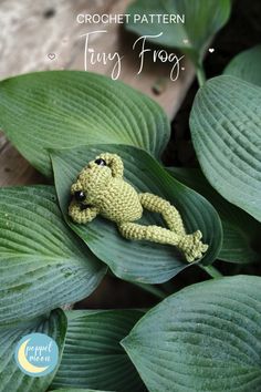 a crocheted frog sitting on top of a green leafy plant with text overlay that reads, crochet pattern tiny frog