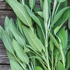 a bunch of green leaves sitting on top of a wooden table