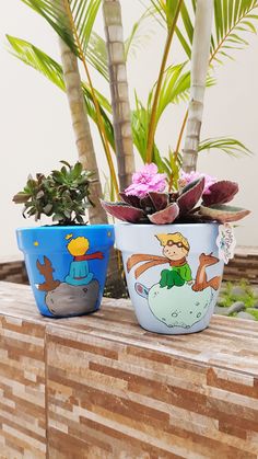 two potted plants sitting on top of a wooden table