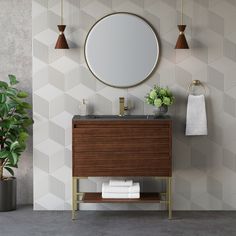 a bathroom with a sink, mirror and potted plant next to it on the wall