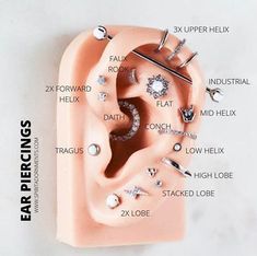 an ear is shown with different types of piercings on it and labeled in the text below