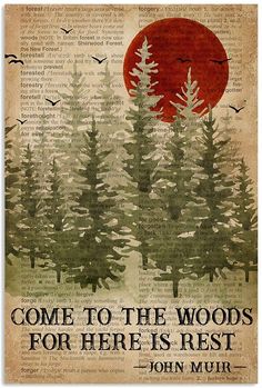 some trees with the sun in the background and words on it that say, come to the woods for here is rest