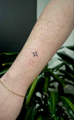 a woman's arm with a small four leaf clover tattoo on it