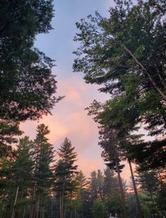 the sky is pink and blue as the sun sets in the distance behind some trees