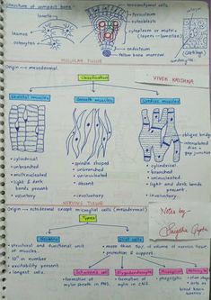 a hand drawn diagram on top of a piece of paper with notes attached to it