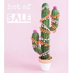 a cactus plant with decorations on it and the words hot af sale written in white