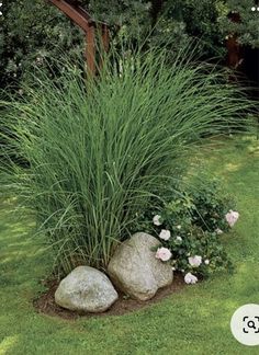 the grass is growing next to two large rocks