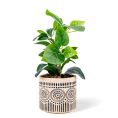 PRICES MAY VARY. 【Design and style🌱】Chonsun ceramic planter simple style, a variety of patterns to choose from, chonsun ceramic flower pots can be very good to decorate any corner of the house, living room, garden, office, bookshelf, etc., L5.1" W5.1" H5.1". 【Suitable for plants 🌱】Chonsun ceramic plant pots indoor and outdoor can be used for a variety of plants, such as cacti, succulents, snake plants, aloe vera and most other plants. 【The best gift for plant lovers 🌱】Designed by the designer Office Bookshelf, Pots Ceramic, Inch Plant, Living Room Garden, Mid Century Planter, Indoor Flower Pots, Room Garden, Indoor Outdoor Planter, Unique Planter