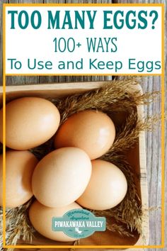 eggs in a box with the title, too many eggs? 100 ways to use and keep