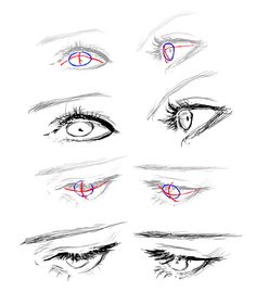 an image of different types of eyes with the eyeliners drawn in pencil on paper