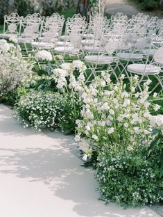 rows of chairs with white flowers and greenery on the ground in front of them